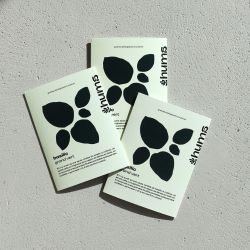 PAïSAN - Graines à semer Basilic grand vert Hums