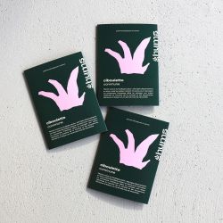 PAïSAN - Graines à semer Ciboulette commune Hums