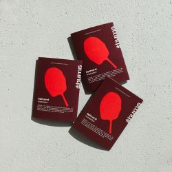 PAïSAN - Graines à semer Épinard Matador Hums