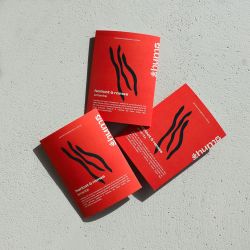 PAïSAN - Graines à semer Haricot à rames Emerite Hums