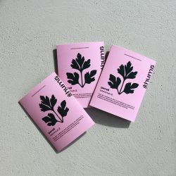 PAïSAN - Graines à semer Persil commun Hums