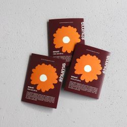 PAïSAN - Graines à semer Souci officinal