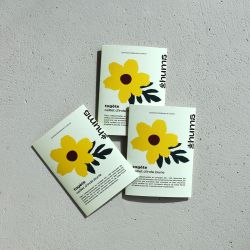 PAïSAN - Graines à semer Tagète jaune naine