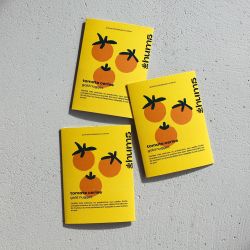 PAïSAN - Graines à semer Tomate cerise gold nugget