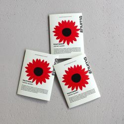 PAïSAN - Graines à semer Tournesol Velvet Queen