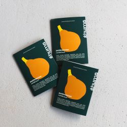 PAïSAN - Graines à semer Potimarron uchiki kuri Hums