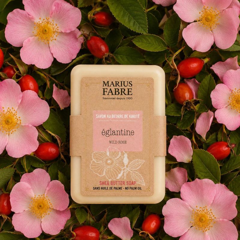 Savonnette Marius Fabre - Églantine