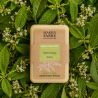 Savonnette Verveine Marius Fabre